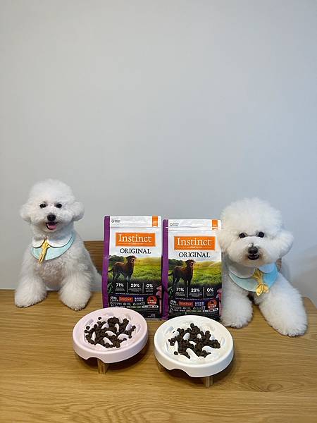 IMG_8003.JPG IMG_8003.JPG