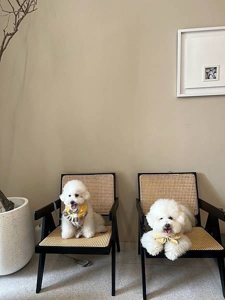 IMG_8347.JPG IMG_8347.JPG