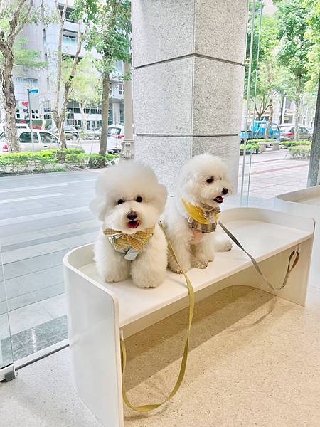 IMG_8529.JPG IMG_8529.JPG