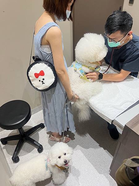 IMG_8224.jpg IMG_8224.jpg