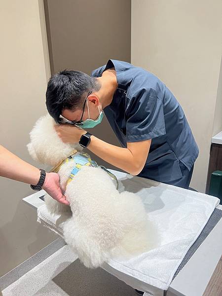 IMG_8206.jpg IMG_8206.jpg