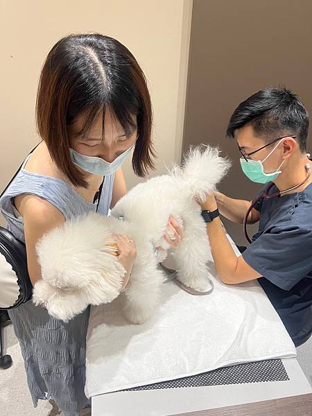 IMG_8278.jpg IMG_8278.jpg