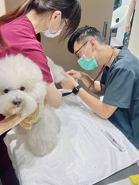 IMG_8530.JPG IMG_8530.JPG