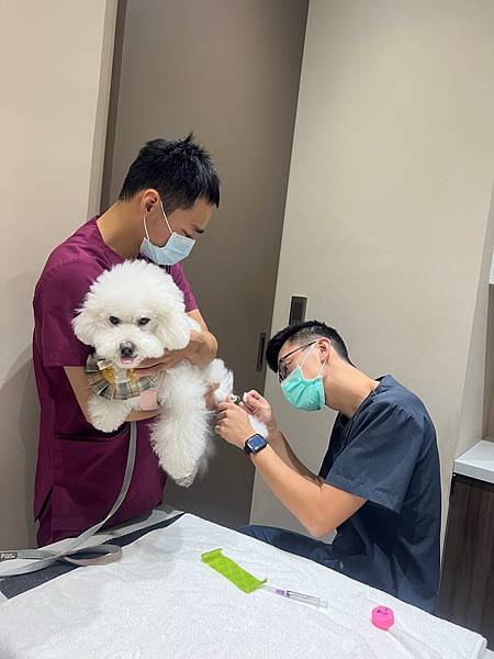 IMG_8286.jpg IMG_8286.jpg