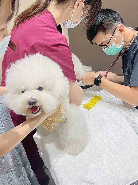 IMG_8531.JPG IMG_8531.JPG