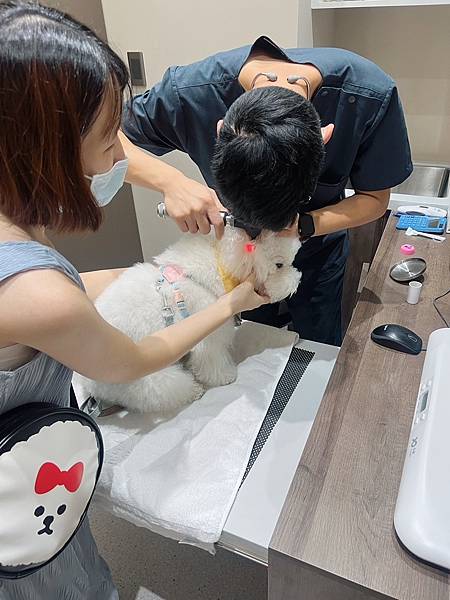 IMG_8532.JPG IMG_8532.JPG