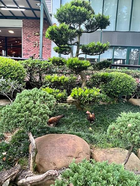 山水緣庭園景觀餐廳♡龍潭客家美食推薦|桃園寵物友善餐廳