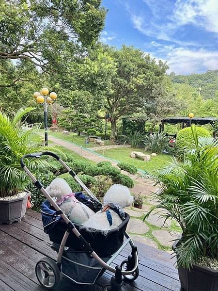 山水緣庭園景觀餐廳♡龍潭客家美食推薦|桃園寵物友善餐廳