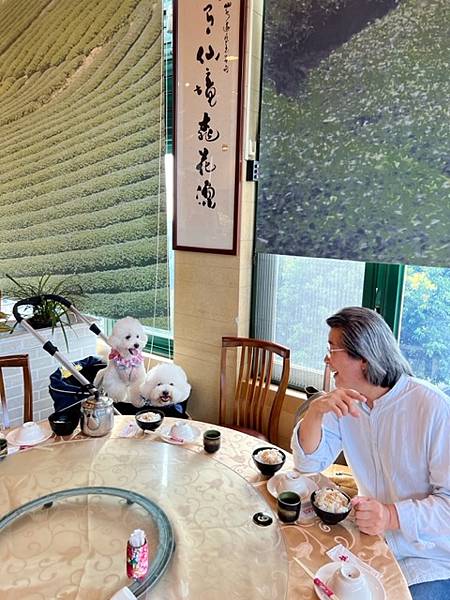 山水緣庭園景觀餐廳♡龍潭客家美食推薦|桃園寵物友善餐廳