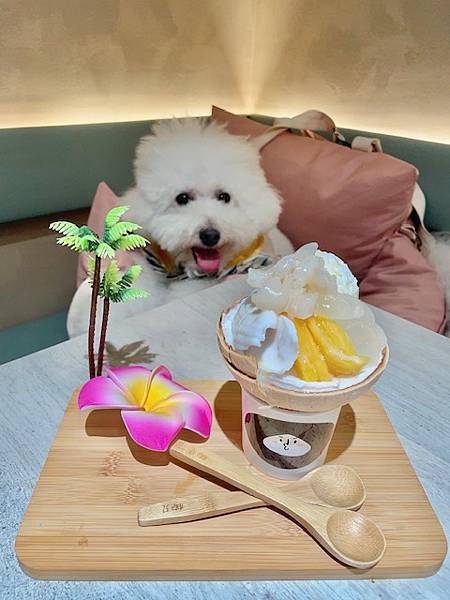 Coco Brother椰兄Plus店 泰好吃啦! 台北寵 Coco Brother椰兄Plus店 泰好吃啦! 台北寵