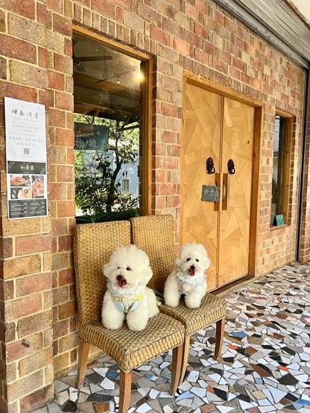嬋泰河景新店烏來河景秘境咖啡廳寵物友善店家 嬋泰河景新店烏來河景秘境咖啡廳寵物友善店家