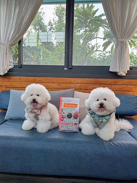 淚痕與皮膚敏感的飼料選擇↬美國原點Instinct天然鮭魚糙 淚痕與皮膚敏感的飼料選擇↬美國原點Instinct天然鮭魚糙