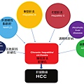 HCC-risk factor.tif