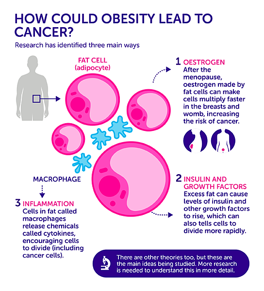 obesity-cause-cancer_v02-01.png