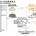 記憶建構-1.png