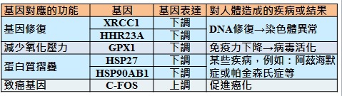 宇宙-基因.jpg