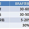 BRAF-癌症突變機率.jpg