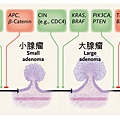 大腸進程vs基因.tif