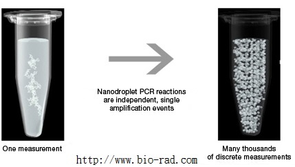 sample-partitioning-is-key-to-droplet-digital-pcr.jpg