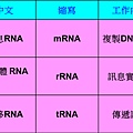 RNA表格.tif