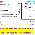 TP53-5-FU大腸癌.png