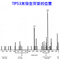 乳癌-TP53突變位置.png