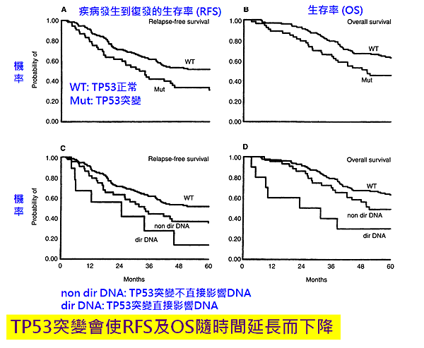 TP53對乳癌生存的影響.png