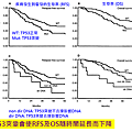 TP53對乳癌生存的影響.png