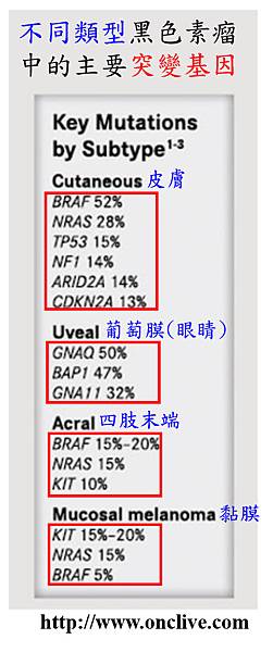 圖片2-5.tif