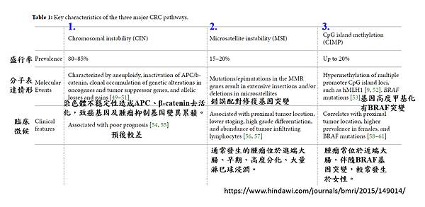 腸癌標記-2.tif