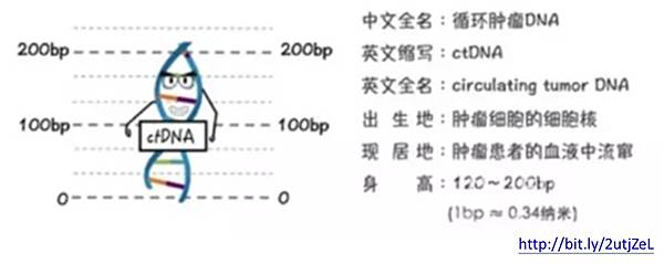 圖片2.jpg