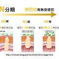 腸癌分期診斷-2.tif