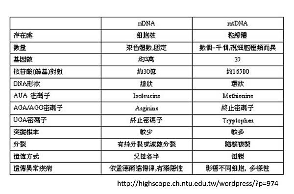 Mitochondria-4.tif