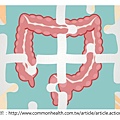 colon methylation-封面.tif