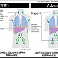 HL-Stage.tif