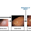 colon-molecular alternation.tif