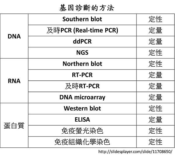 意味 定性 的