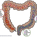 Colon-different site-gene mutation-total.tif