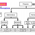 MMR-polyposis.tif