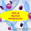 MSC and myeloid malignancied-封面.tif