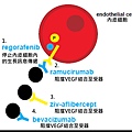 Colon-NCCN-VEGF targeted pathway.tif