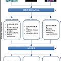 Microbiota-NGS strategy.tif