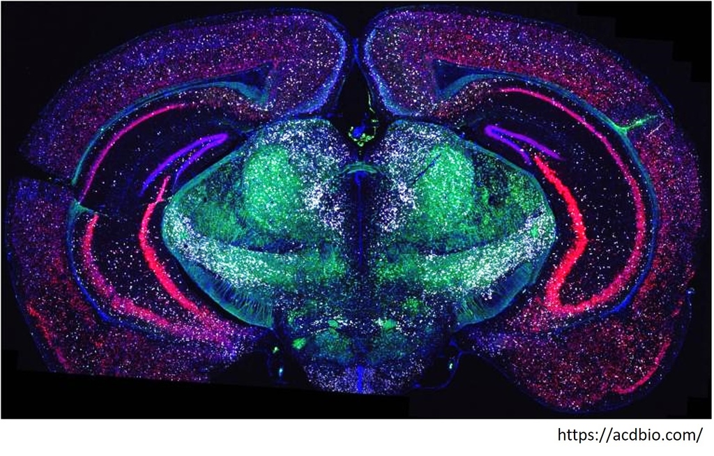 圖片1.jpg 圖片1.jpg