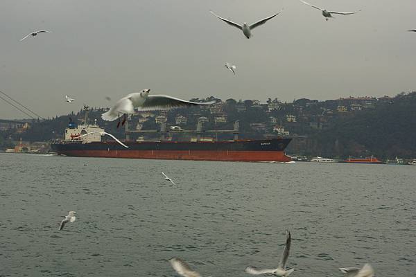 前往黑海載運原油的郵輪行經Bosphorus