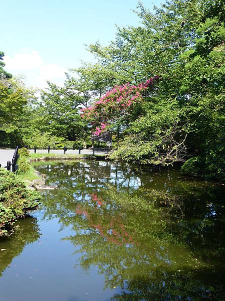 庭園~清水寺