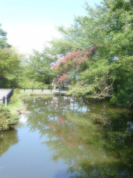 庭園~清水寺