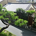 奈良公園附近一景