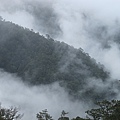 彷彿仙境的雲海~