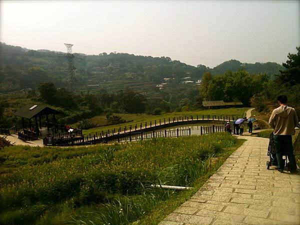 貓空。樟樹步道