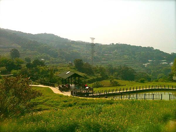 貓空。樟樹步道